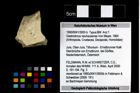 Foto (Objekt + Etikett) von Gastrodorus neuhausense (von Meyer, 1864)  (NHMW-GEO-1990-0041-3955b)